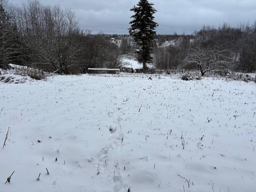 Участок 13 соток